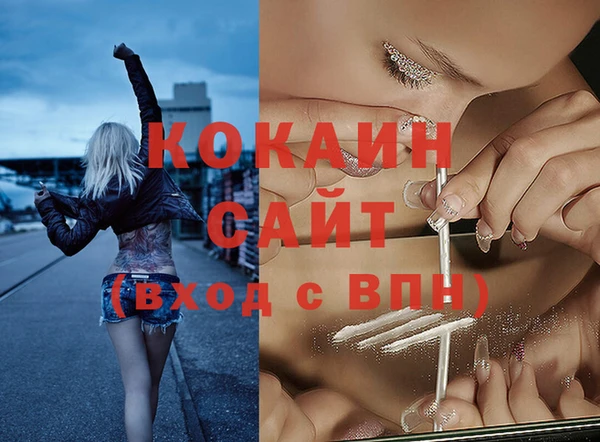 шишки Балабаново