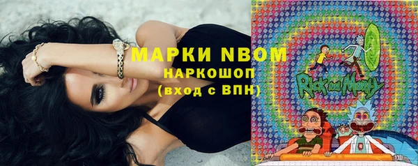 шишки Балабаново
